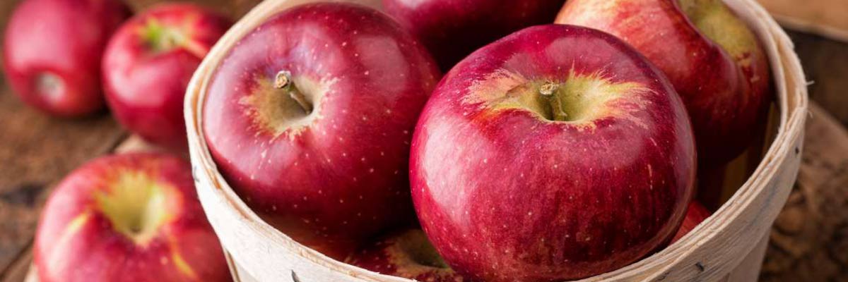 سیب | درمان کبد چرب با میوه ها
